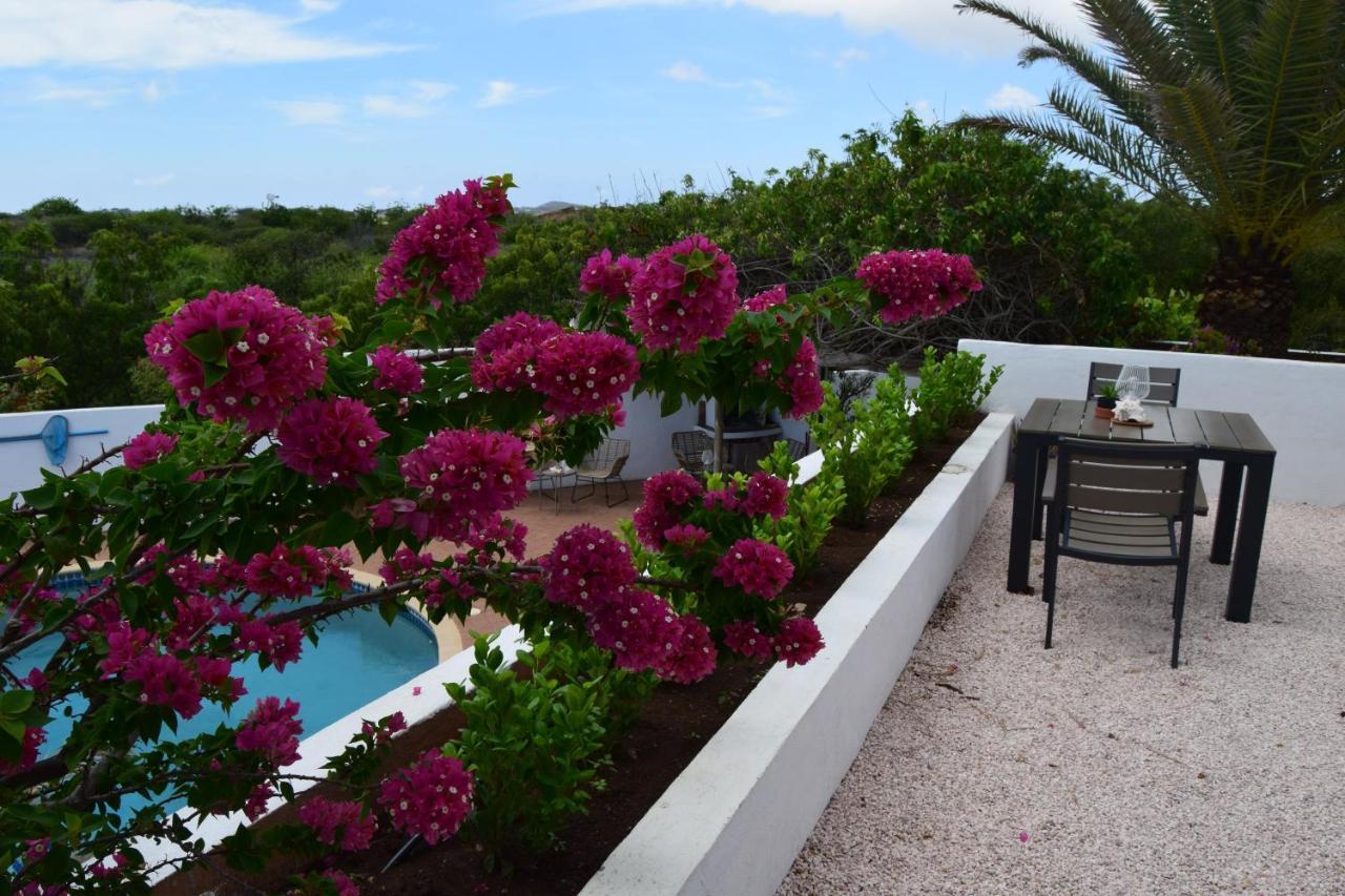 Saint Joris A Tiny Boutique Resort Willemstad Extérieur photo