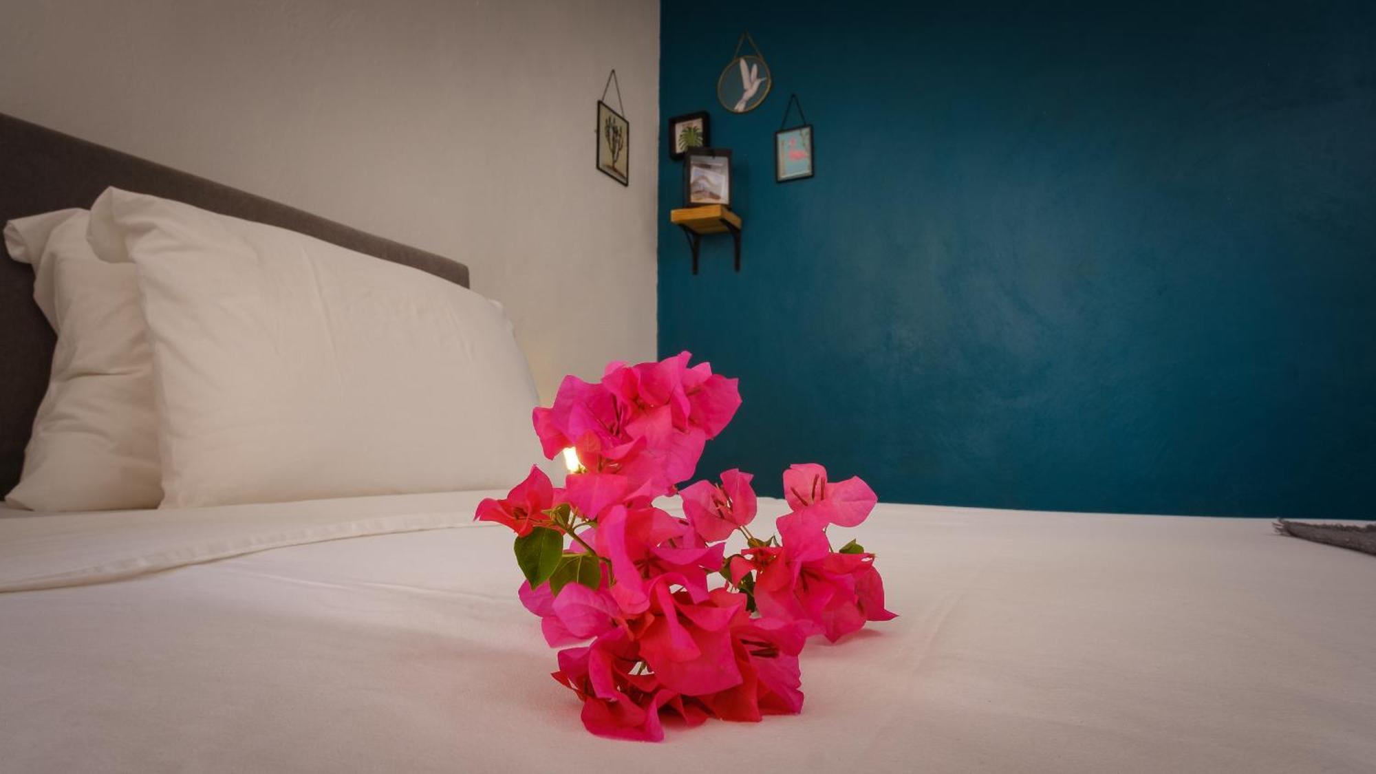 Saint Joris A Tiny Boutique Resort Willemstad Extérieur photo
